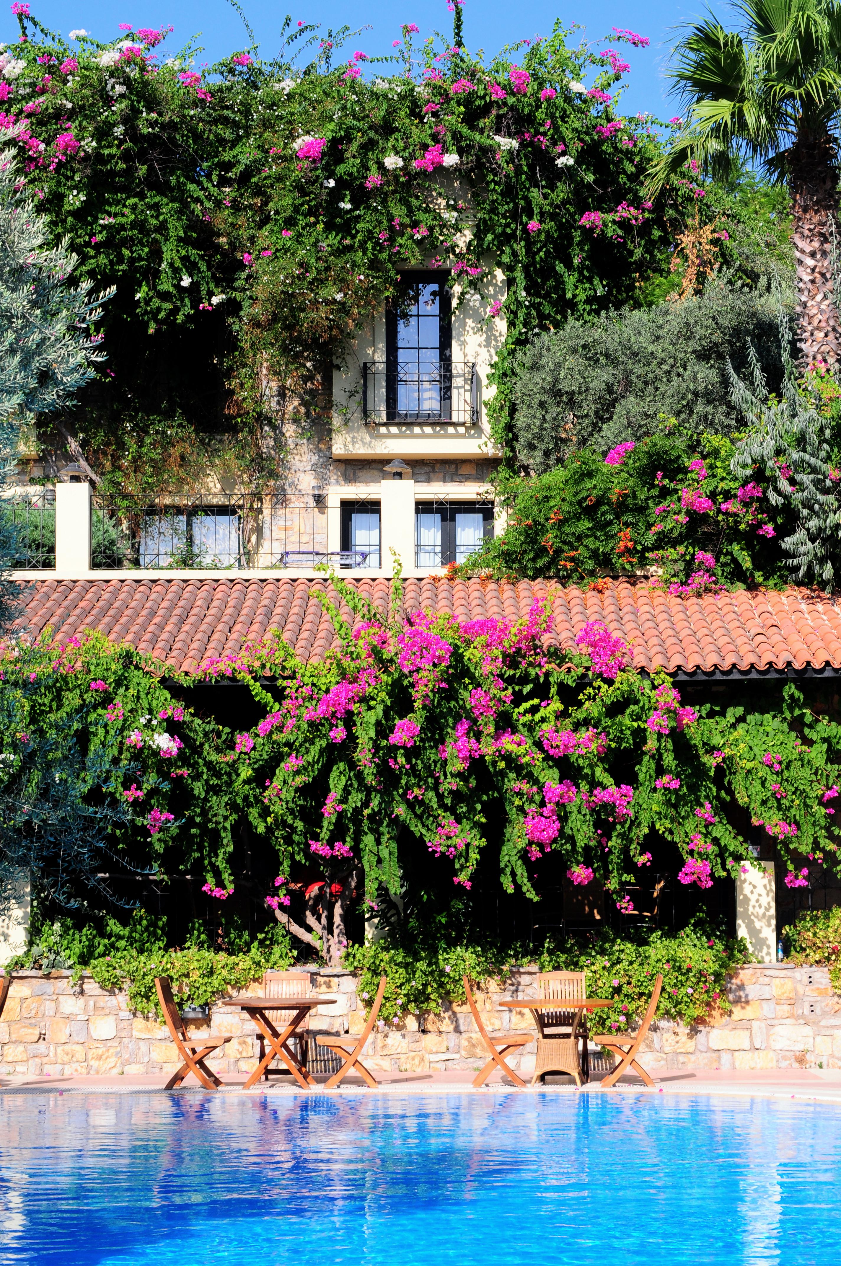 Zeytinada Hotel Torba Esterno foto