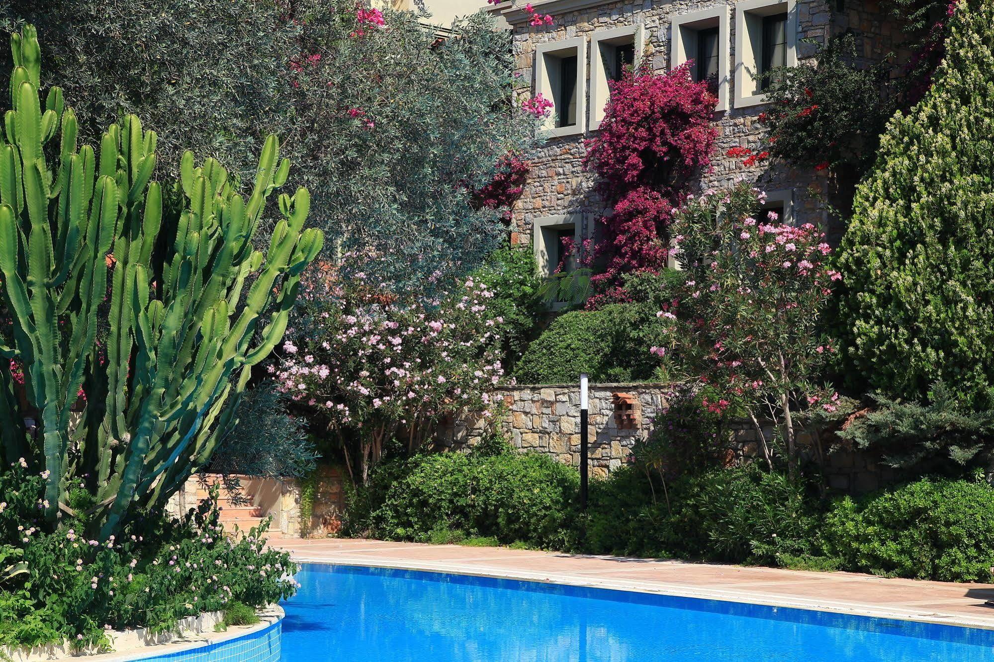 Zeytinada Hotel Torba Esterno foto